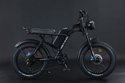 Ebike,750W Motor,48V15.6Ah Battery,20 Inches,Maximum Speed 45KM